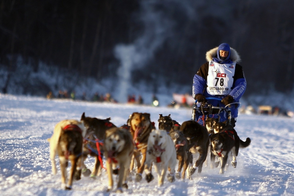 The Iditarod Race Is Considered the Last Great Race on Earth